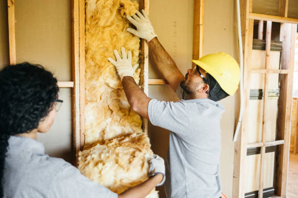 Best Spray Foam Insulation  in Macon, MS
