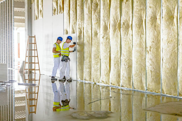 Insulation Inspection Services in Macon, MS